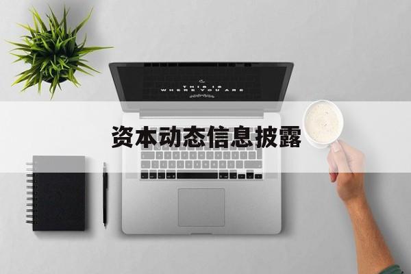 资本动态信息披露(资本动态信息披露是指)芜湖市
