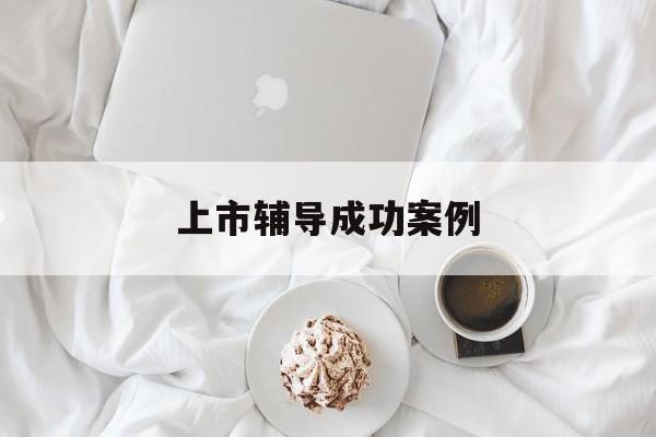 上市辅导成功案例(上市辅导成功后肯定会上市吗)芜湖市 上市辅导成功案例(上市辅导成功后肯定会上市吗)芜湖市